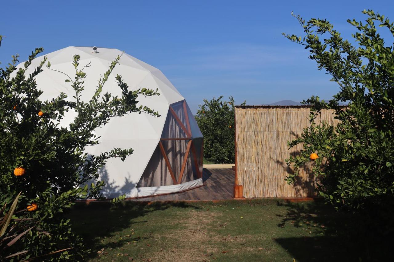 Mandalin Glamping Hotel Selçuk Eksteriør billede