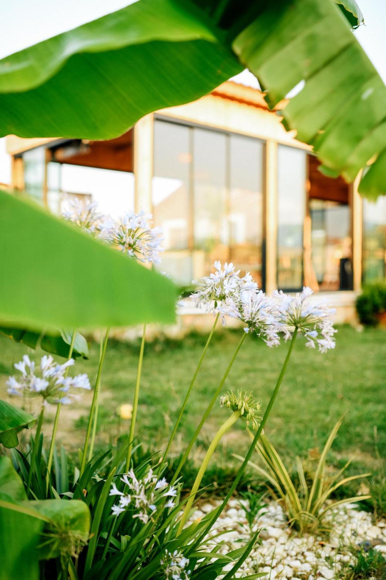Mandalin Glamping Hotel Selçuk Eksteriør billede